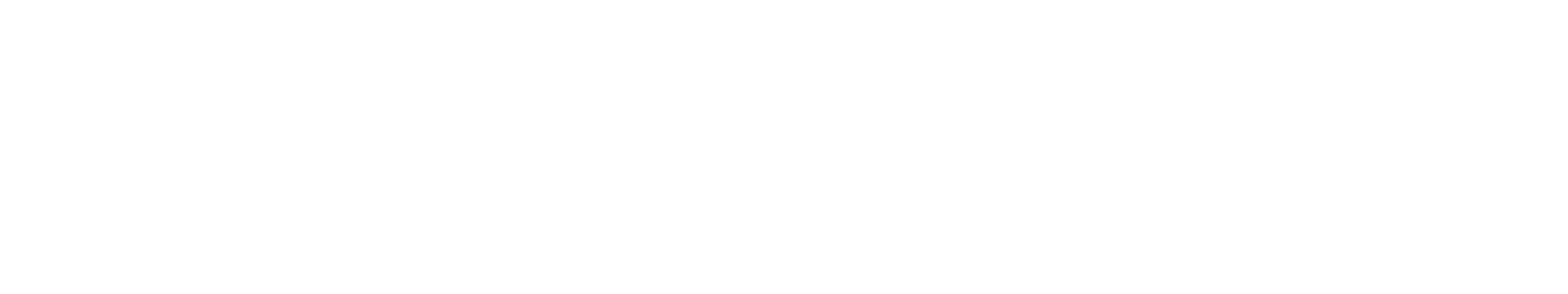 toruspost